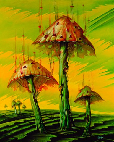 Tale mushrooms