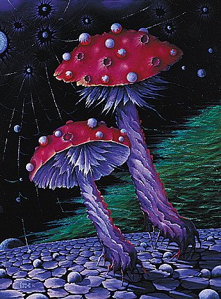 Tale mushrooms